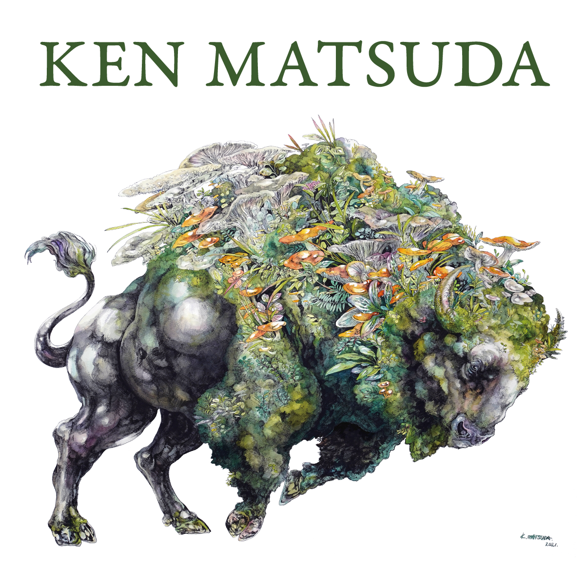 マツダケン MATUDA Ken